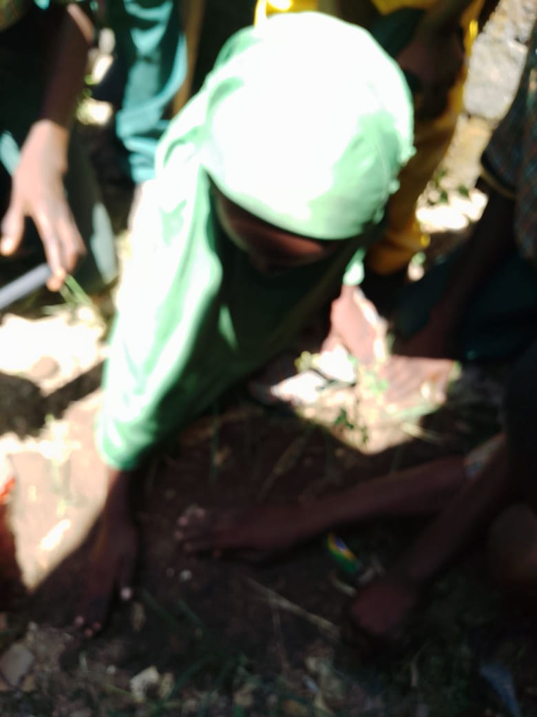 Medical Outreach — HIV, Malaria & TB Screening Gallery